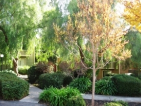 The Park on Riley Image 3
