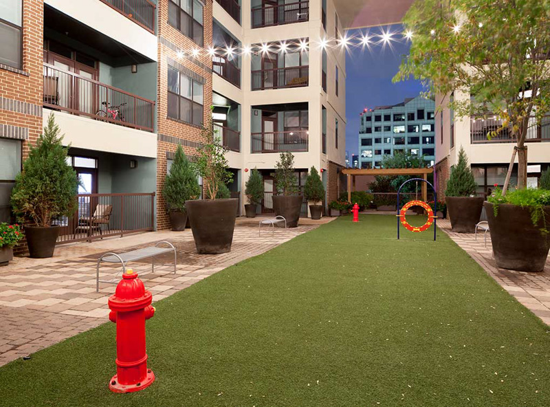 Paw Park