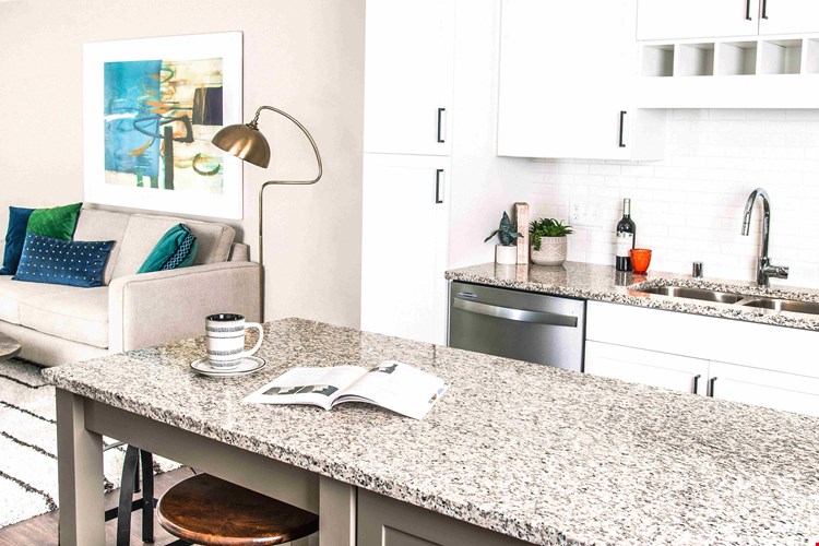 One-Bedroom Apartment Kitchen and Living Room