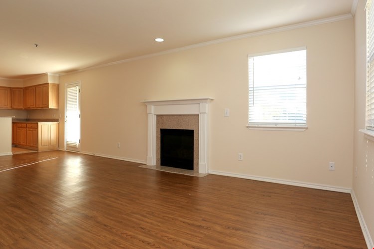 The Chesterfield Image 14