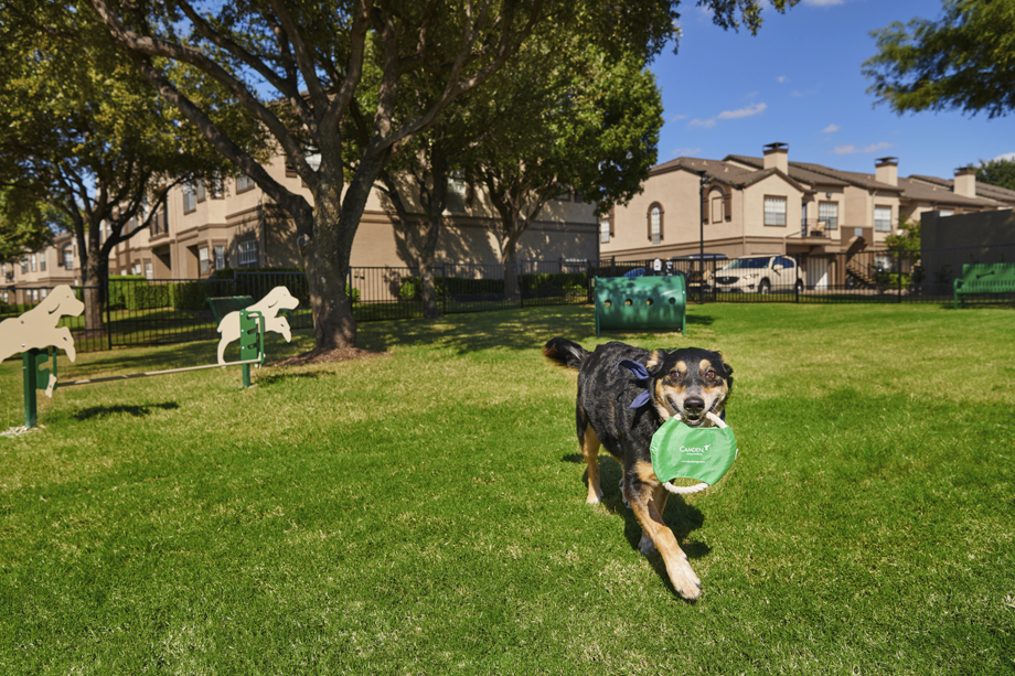 Camden Legacy Park Image 10