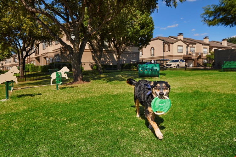 Camden Legacy Park Image 10
