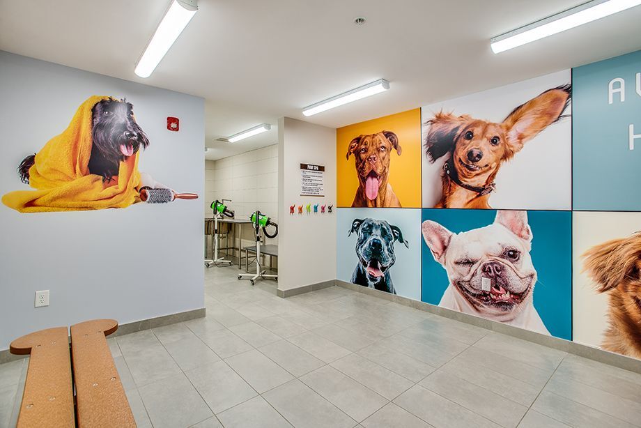 Camden Washingtonian Image 32