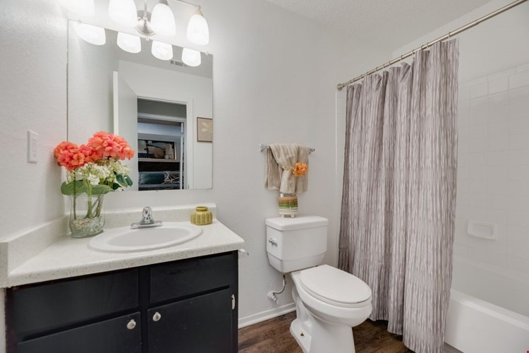 The Park at Wintergreen Apartments | DeSoto, TX  | Bathroom