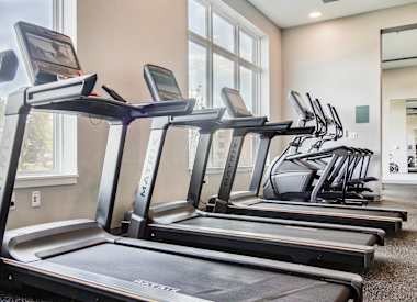 Bold on Boulevard Image 5