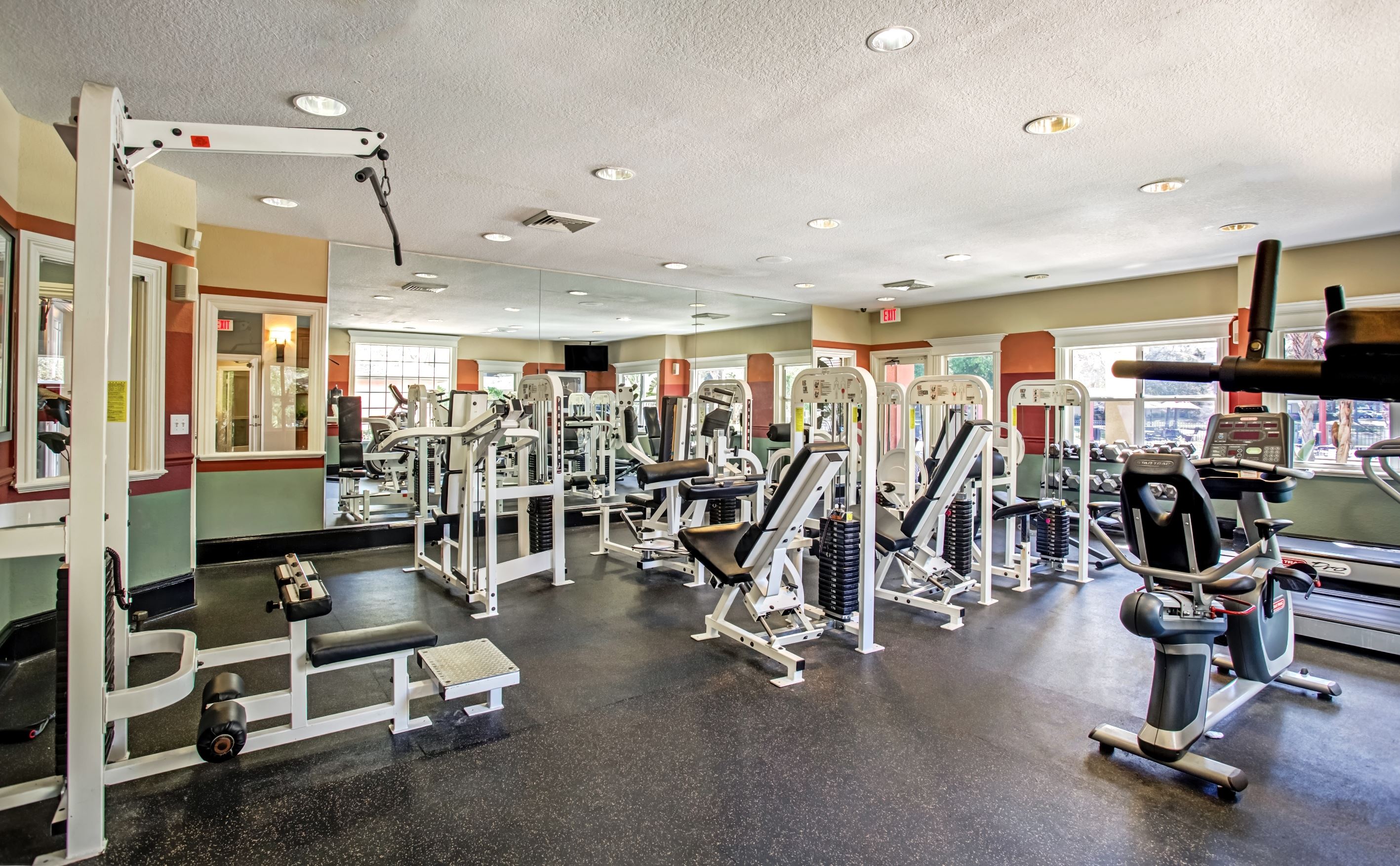 Sabal Palm at Carrollwood Image 26