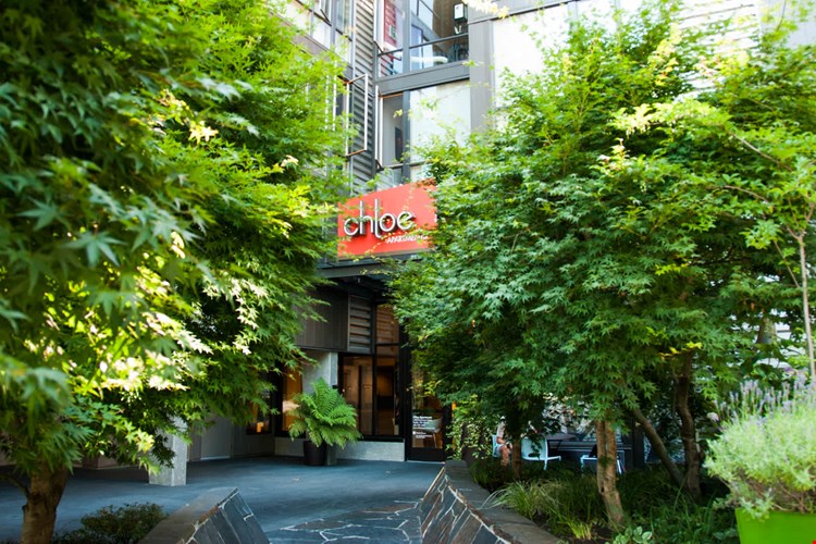 Chloe on Union Image 12