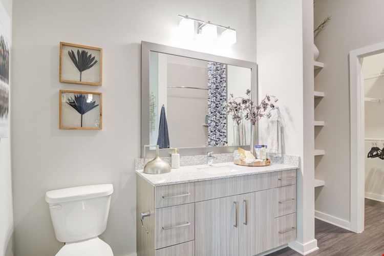 The Edison Sugarloaf Apartments Image 7