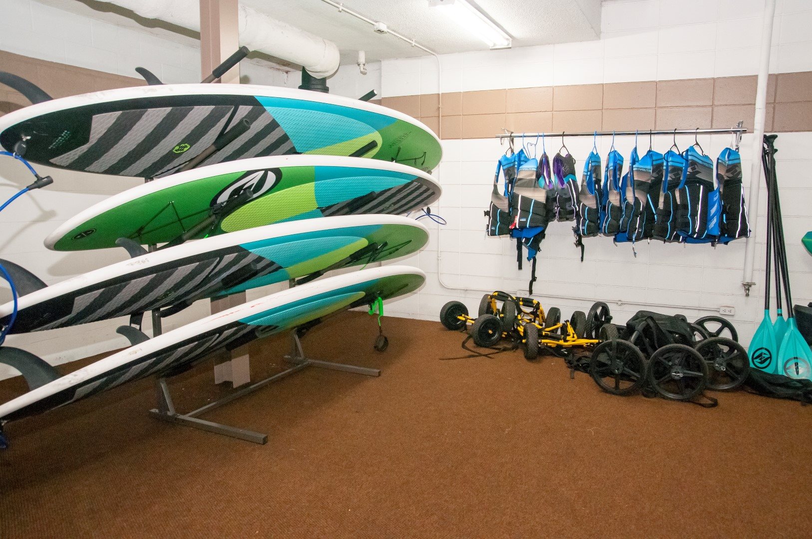 The Original Image 8