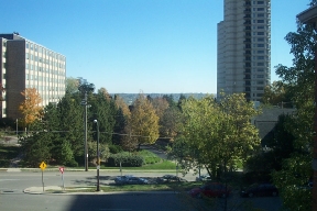 Eden Cliff Apartments Image 5