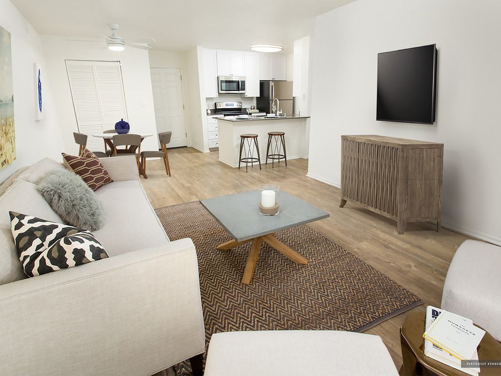 Modern Apartment Living and Dining Areas