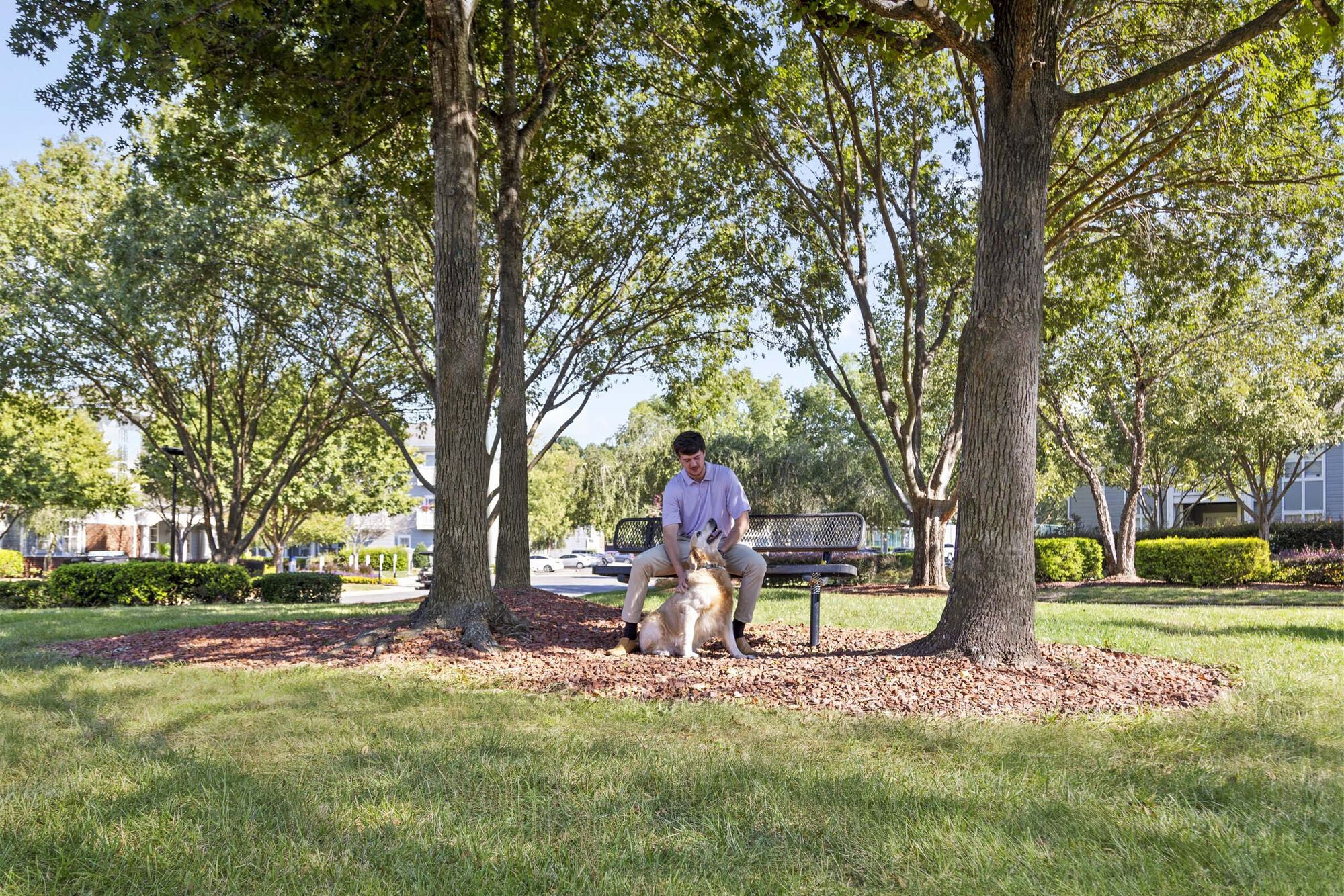 Camden Governors Village Image 32