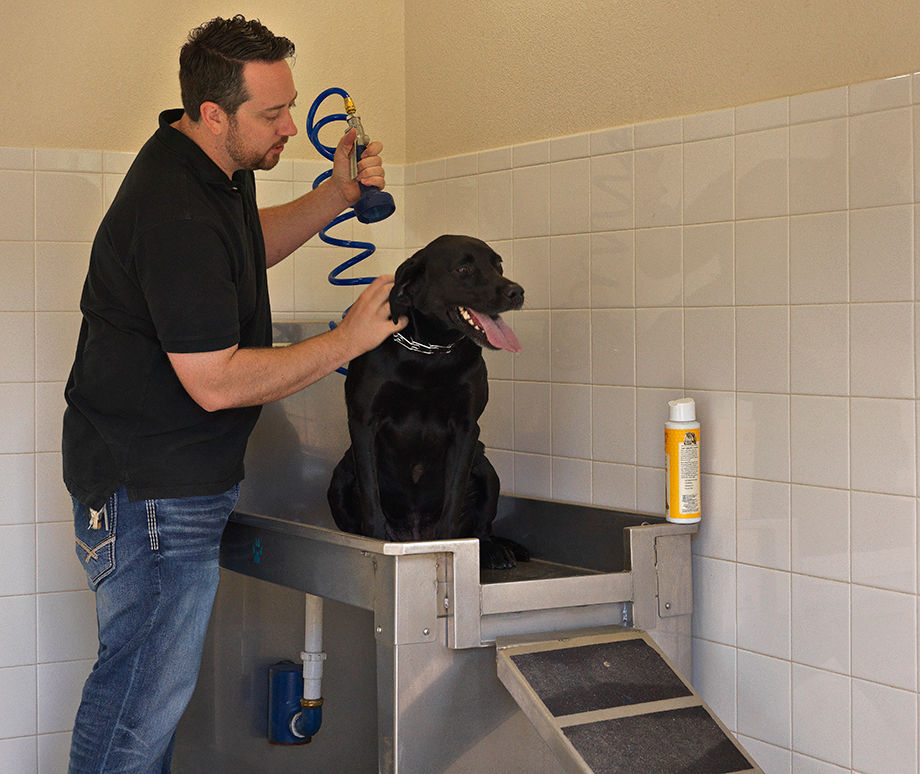 Camden Flatirons Image 26