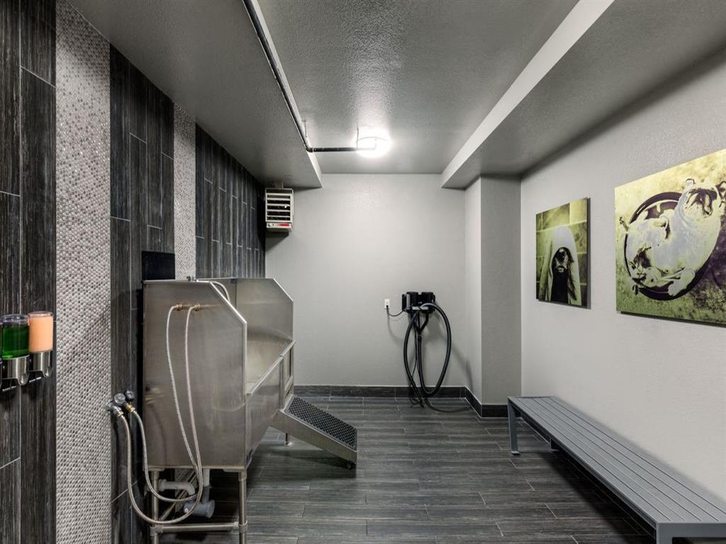 Lyra on McKinney Image 17