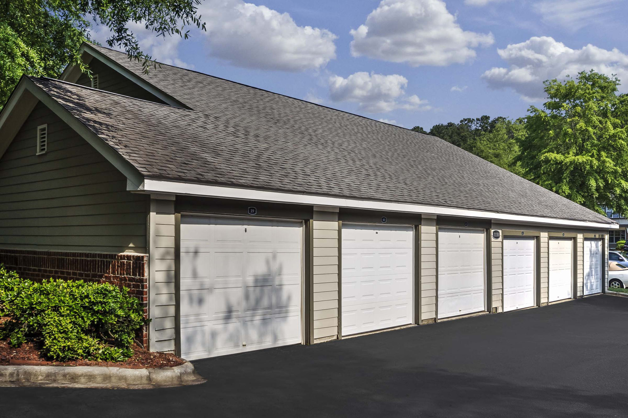 Camden Lake Pine Image 21