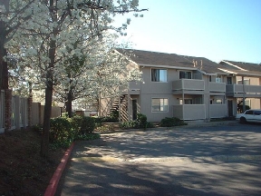 Whitewillow Glen Image 4