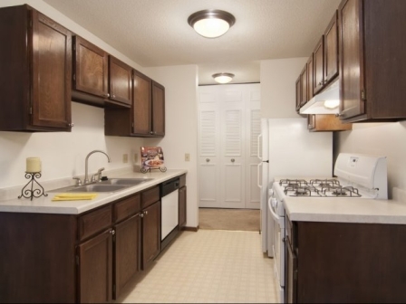 Shadow Green Image 9