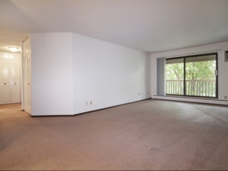 Shadow Green Image 5