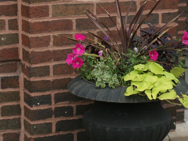 1018 E 54th Street Image 4