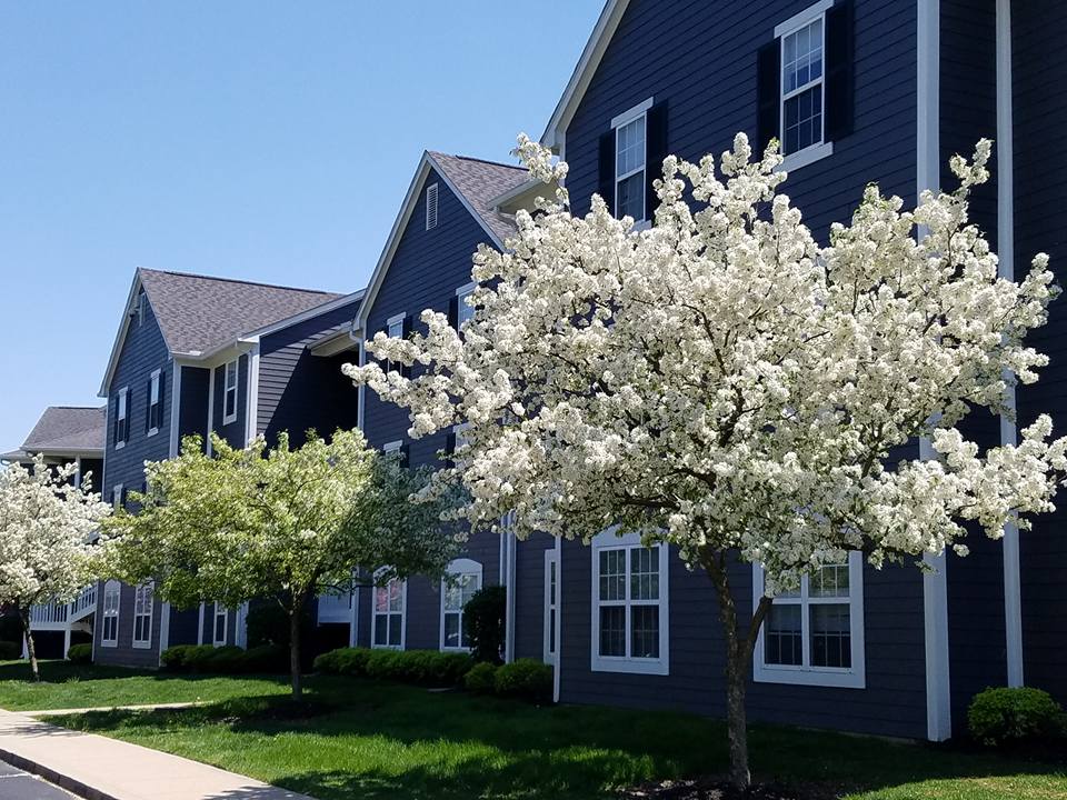 The Village at Cloud Park Image 2