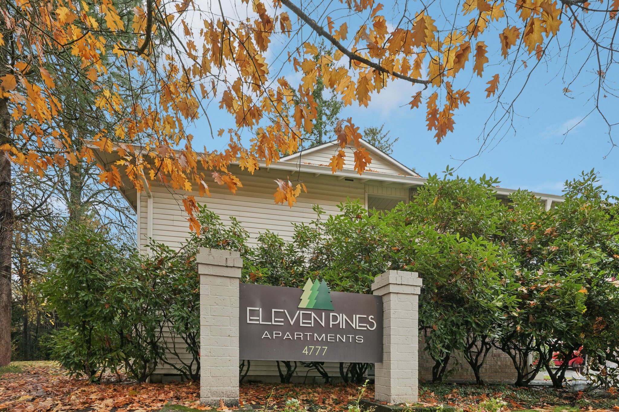 Eleven Pines Image 12