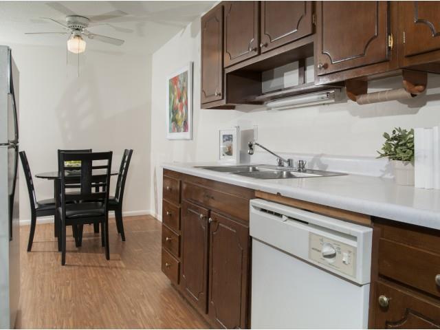 The Fountains in the Park Image 4