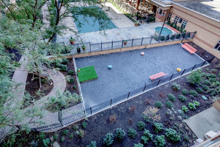 1800 Oak Image 52