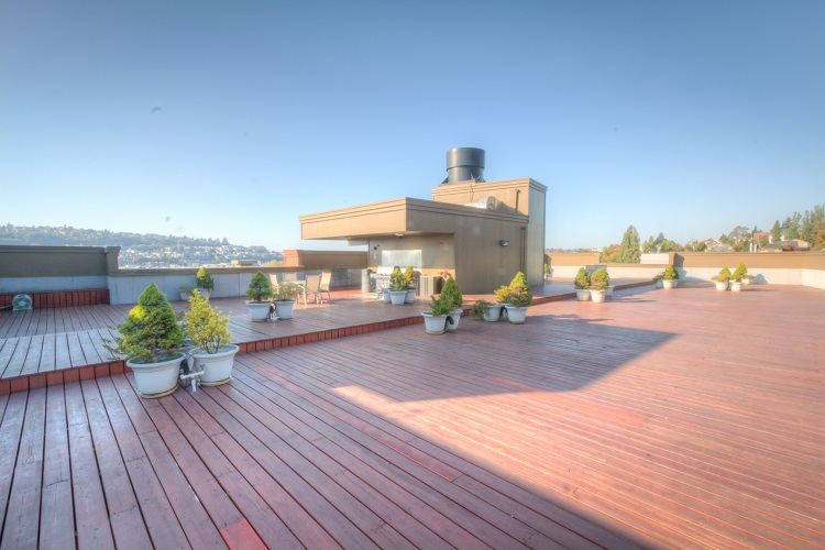 Illumina Lake Union Image 5