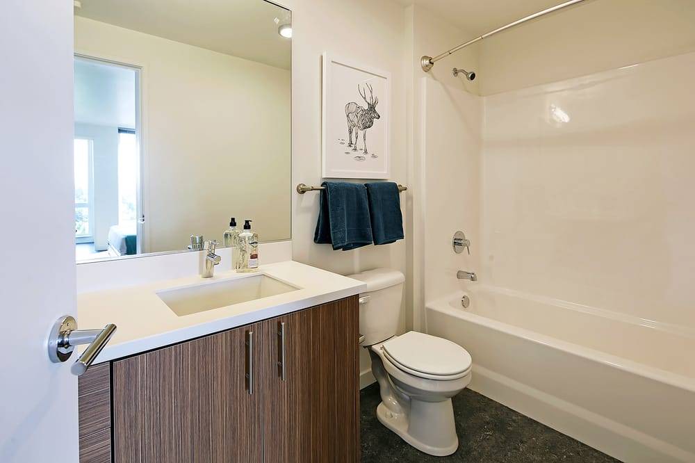 Rooster Apartments Image 5