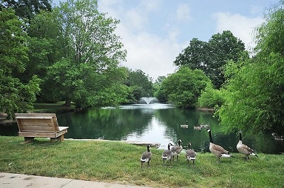 Oak Park Image 9