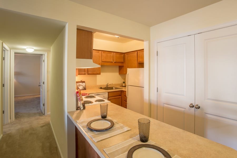 Forrest Pines Image 6