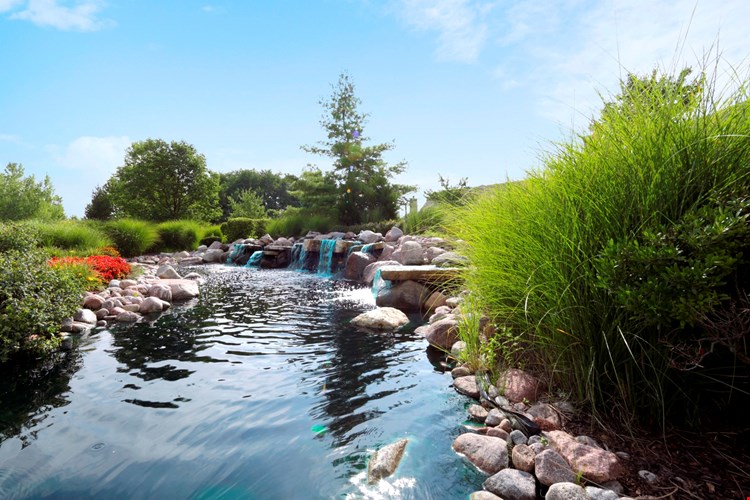 Boulder Springs Image 14