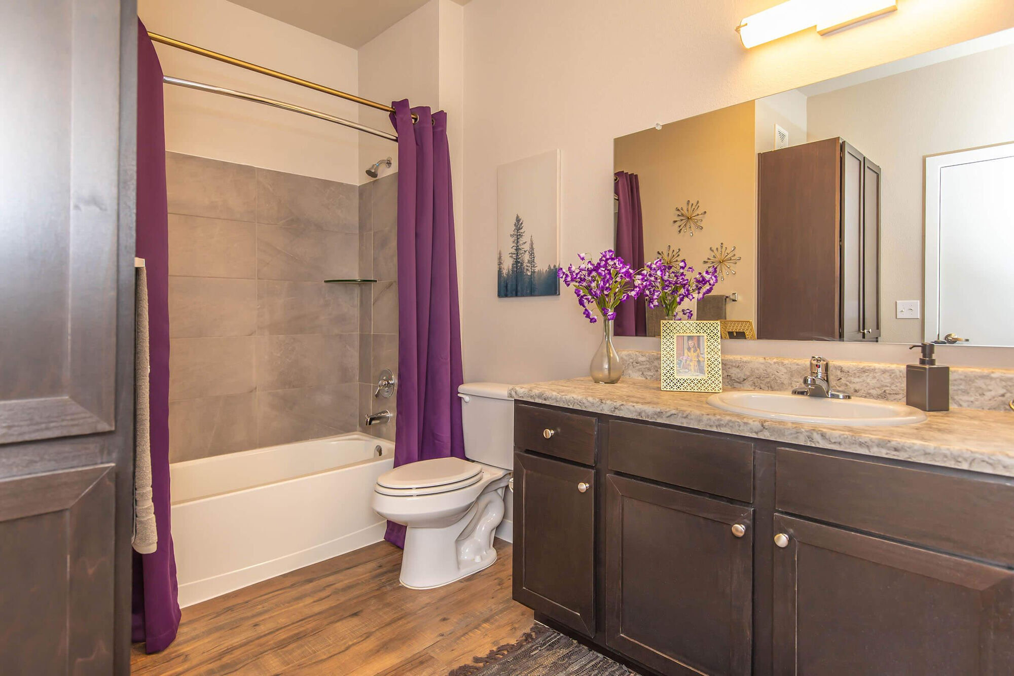 Vantage at Hutto Image 10