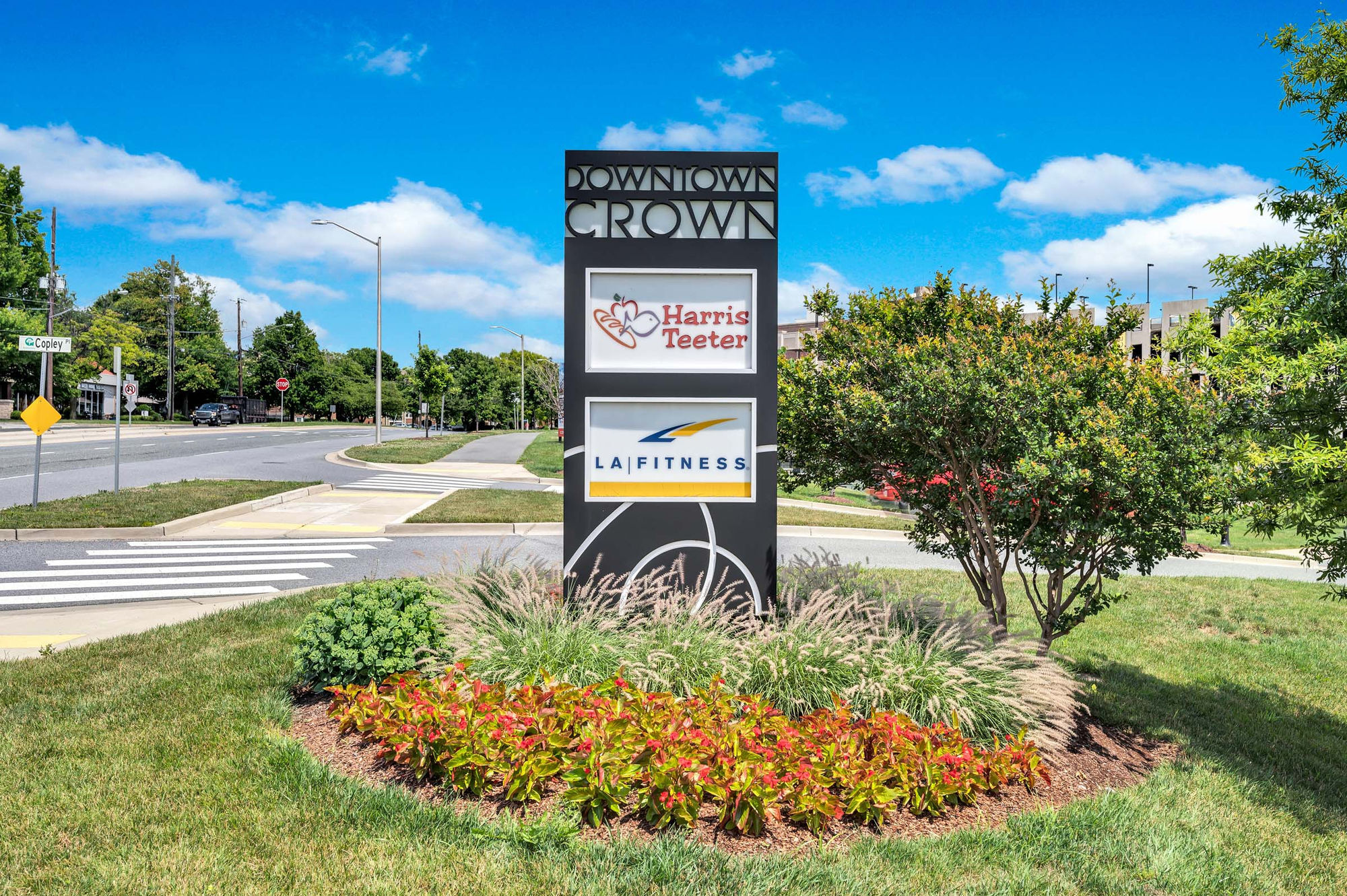 Camden Washingtonian Image 46