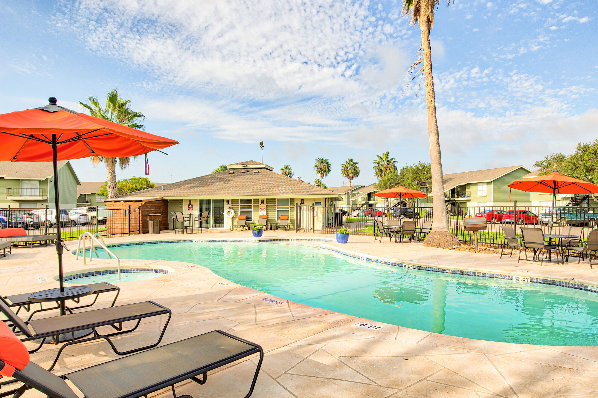 The Palm on SPID Image 2