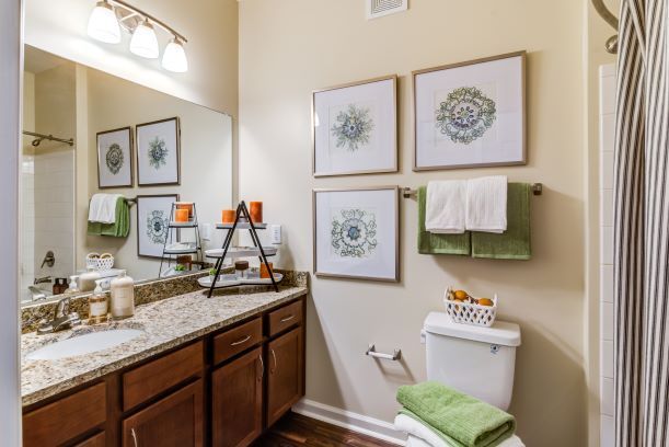 Commonwealth at 31 Apartments Image 17