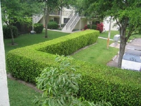 Delray Racquet Club Image 3