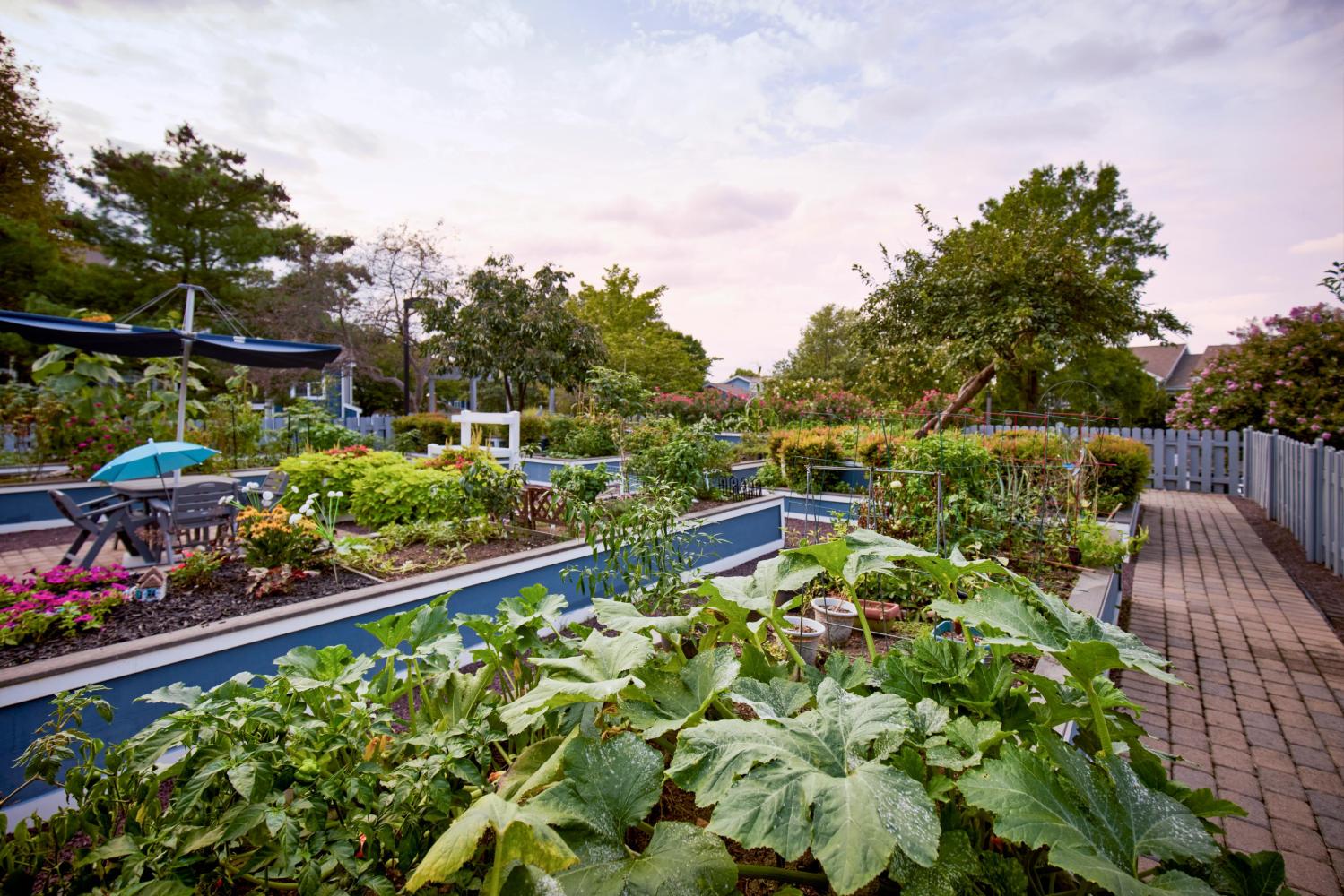 Lakeside Apartments Image 87