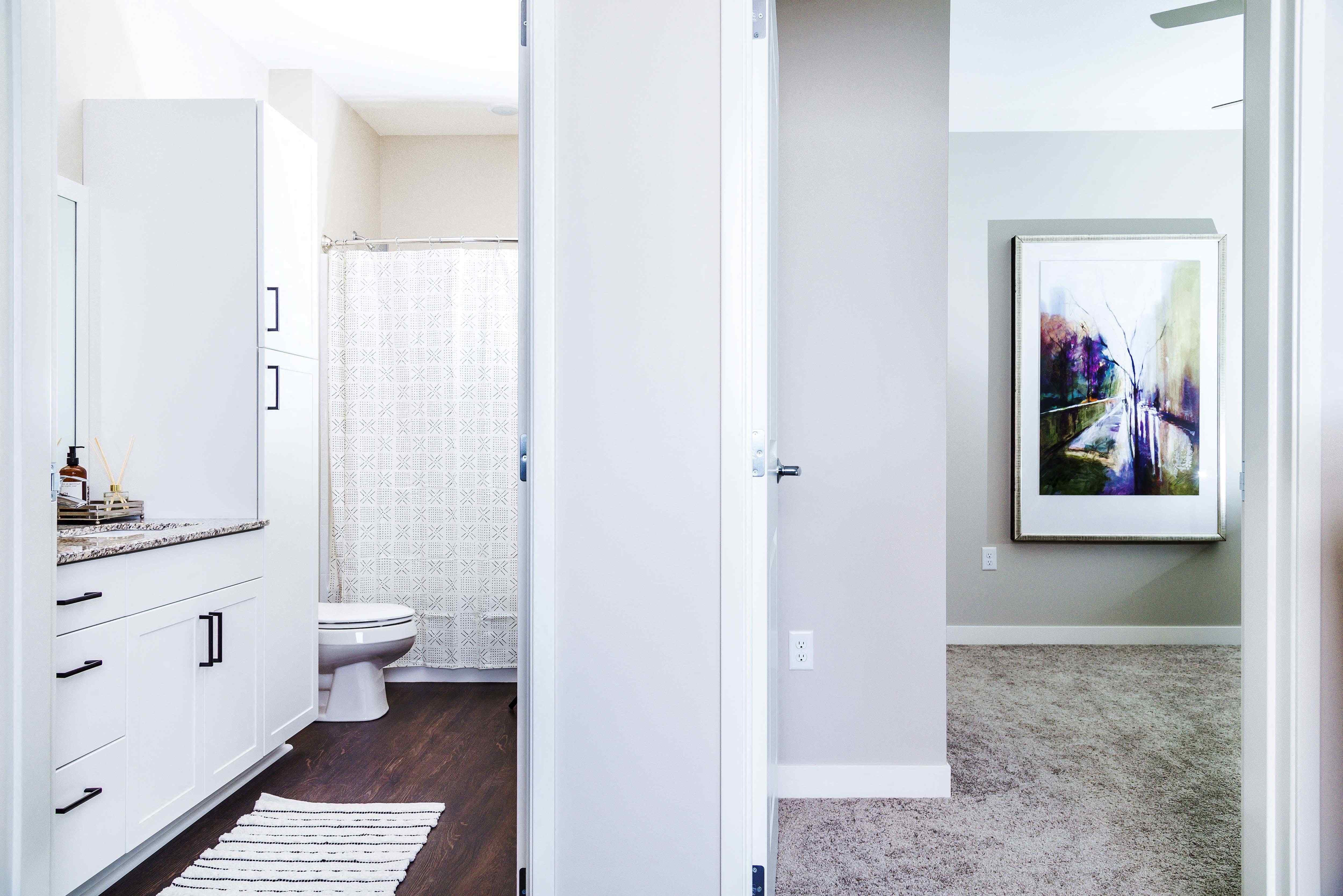 Two-Bedroom Apartment Bathroom and Sleeping Area