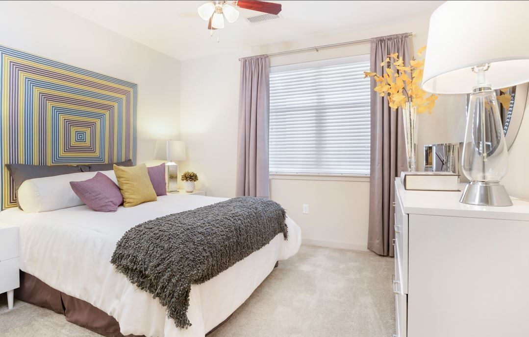 Elevation At County Line Image 9