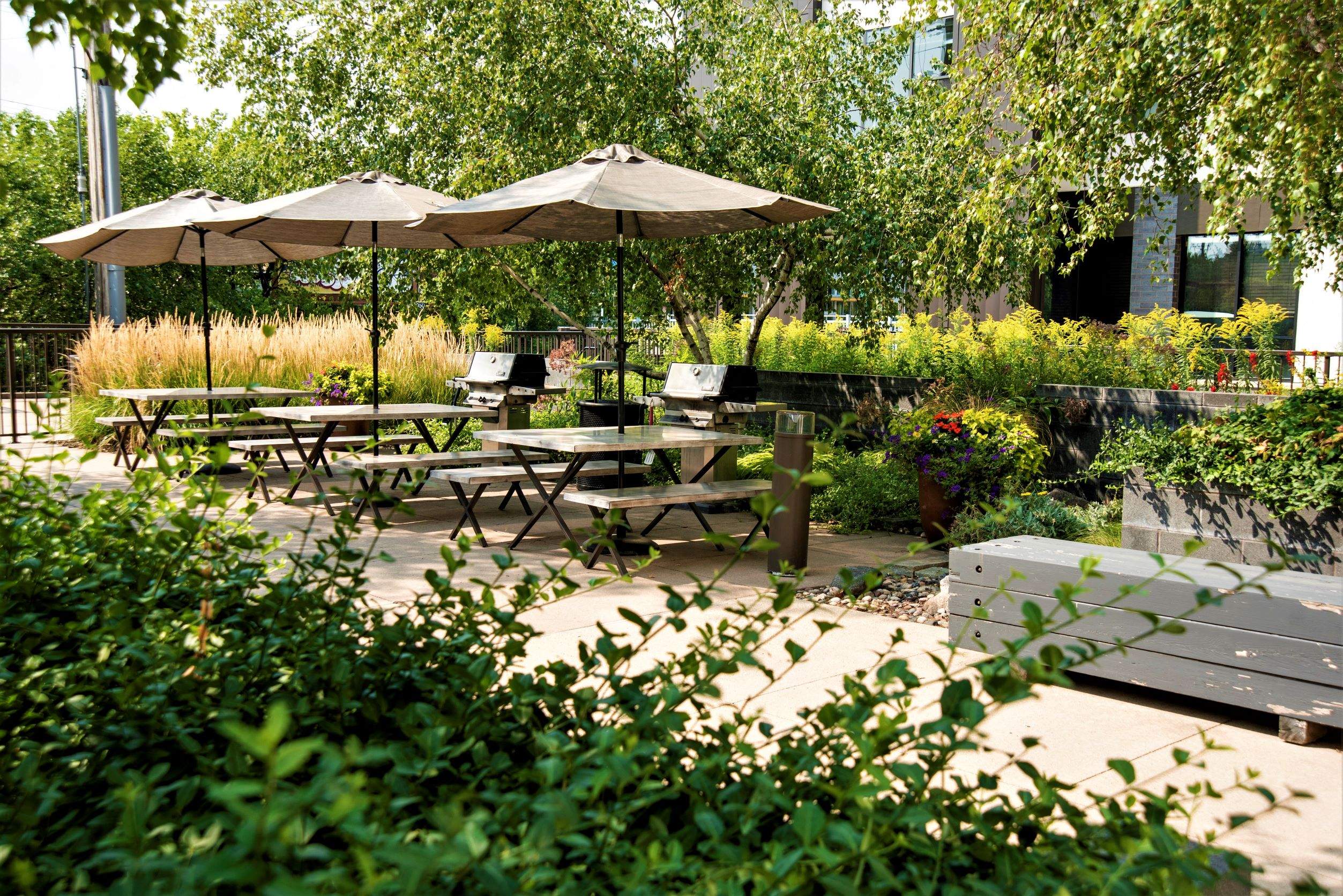 The Murals of LynLake Image 5