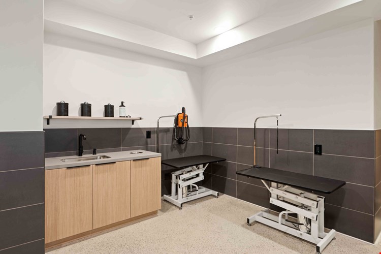 IMT Gallery 421 Image 34