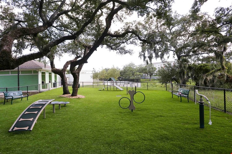 Solaris Key Image 30