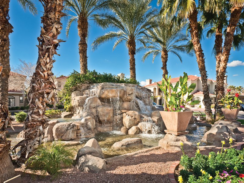 Lush, tropical landscaping