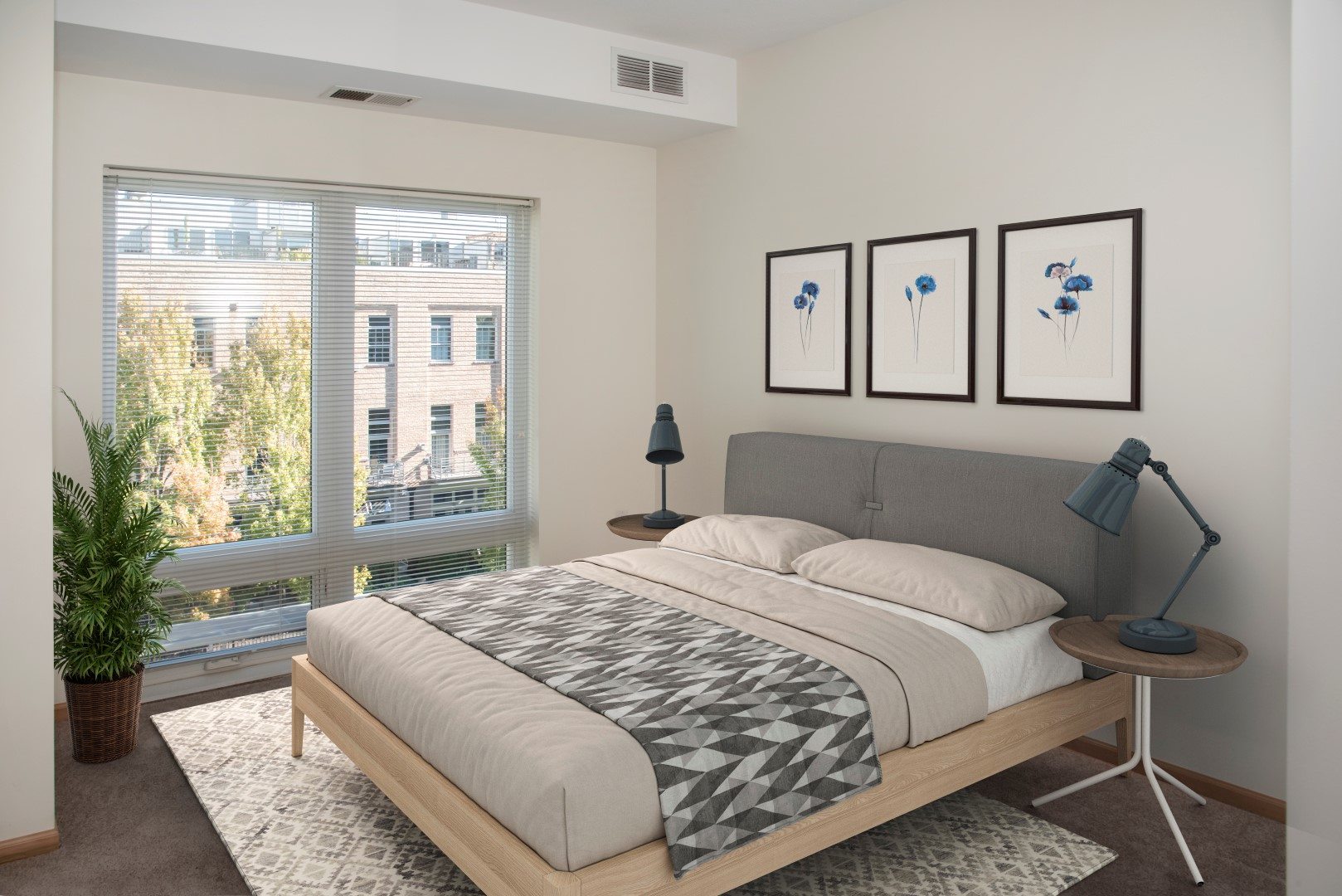 Third North Image 18