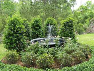Botanica Image 2