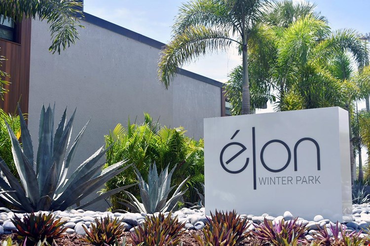 Offering one bedroom, pet friendly apartments in Winter Park, FL.