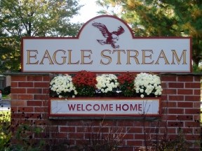 Eagle Stream Image 1