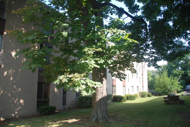 Darlington Manor Image 2