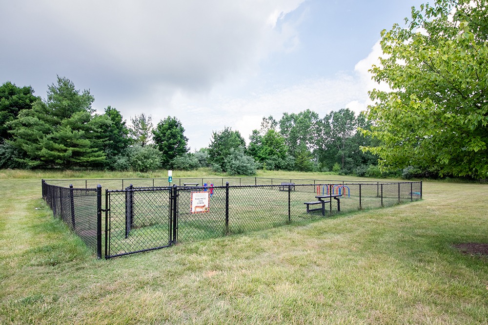 Central Park Apartments Image 3